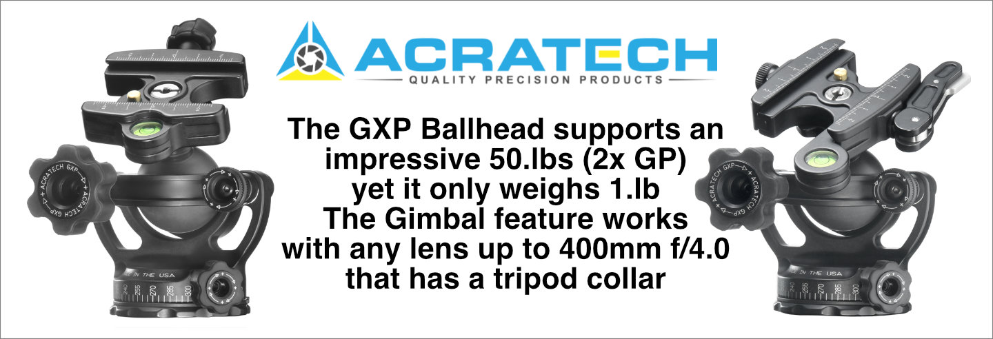 gpx ballhead 4