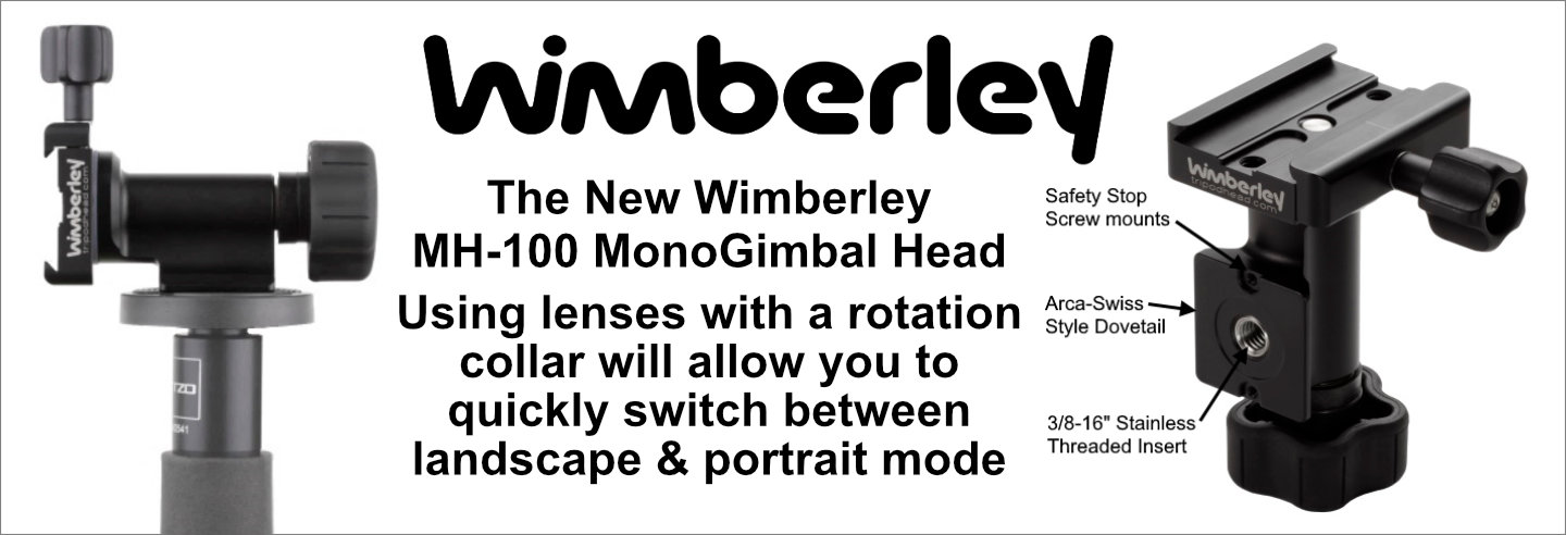 monogimbal head 3